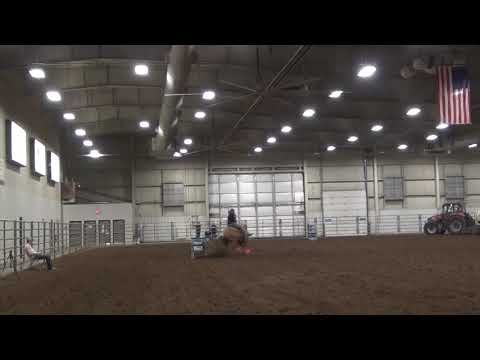 Palena MPA Arena March 2019