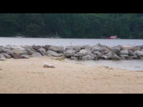 Deep Creek Lake, MD  VII - 2013