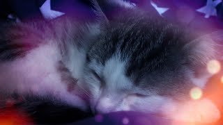 Make Your Cat Sleep Within 5 Minutes - CAT MUSIC (With Cat purring sounds) - 1 HOUR