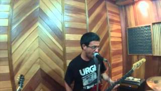 PIGS DON´T FLY - Reunion 2013