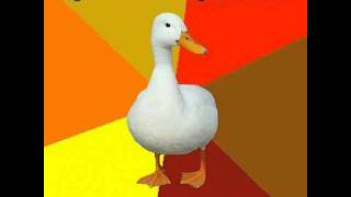 The Red Krayola - Franz Von Assisi