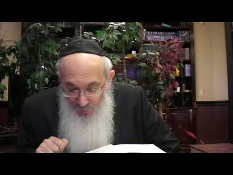 Tanya Chapter 2  by Rabbi Yisroel Spalter