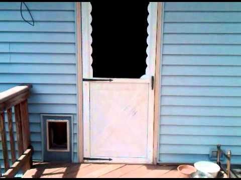 akeela jumping out.3GP