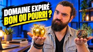 Analyser un Domaine Expiré | Ma méthode + Cas pratiques