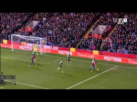 Crystal Palace [1-0] Stoke City [All Goals][18/01/2014][Premier League][HD]