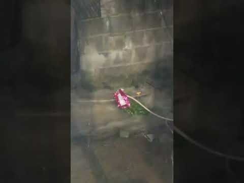 3 de dezembro de 2025 Chuva em Aracruz