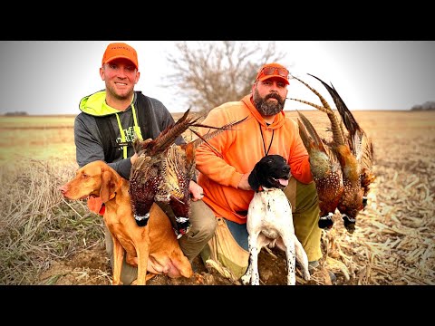 Tri-State Pheasant Roadtrip | The Flush: Season 12, Episode 9