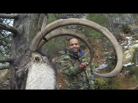 Turecký lov