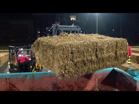 Warum liegt hier Stroh? | Lutz & Fabian vs. Bastian & Özcan | Spiel 4 | Schlag den Star