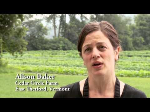 Organic Sound and Sensible Project Taste