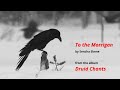 To The Morrigan