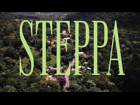 STEPPA bb4l monk ft juwop