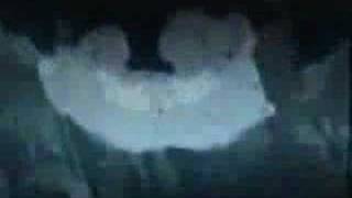 Naruto-Let Em' Fight-Longest Yard Soundtrack