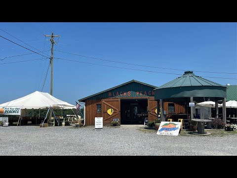 Black's Peaches & Farm Market
