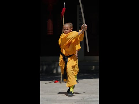 Avaliações do salão de performances do Shaolin Temple Martial Arts Center, acesso, horário comercial ｜Zhengzhou