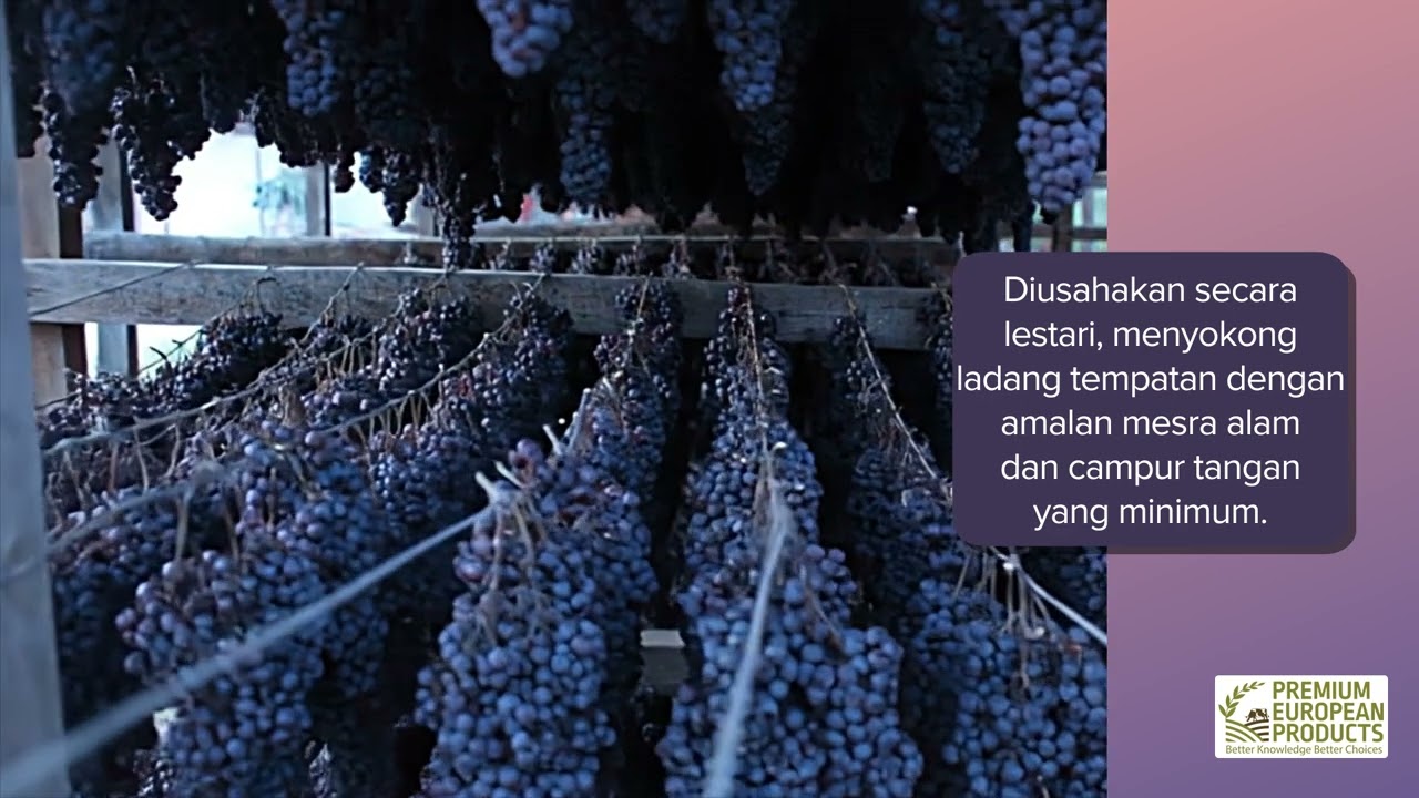 PDO Corinthian Currants Vostitsa (malay)