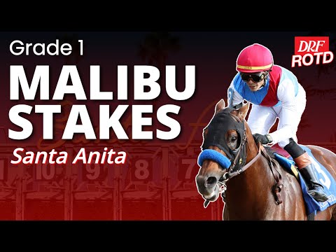 G1 Malibu Stakes @ Santa Anita | DRF Sunday ROTD | December 28, 2025