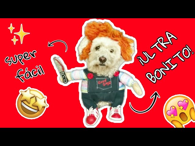 Vídeo relacionado con RRUIQI Ropa de muñeca mortal para perro, disfraz de Halloween para mascotas, disfraz de perro Chucky para cosplay, ropa divertida para fiesta de Halloween, Navidad, traje para perros pequeños,