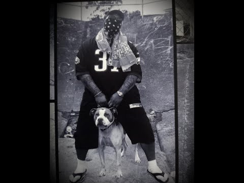 Punchline - Colourway Records