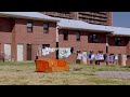 The Wire - Random Scenes from the series