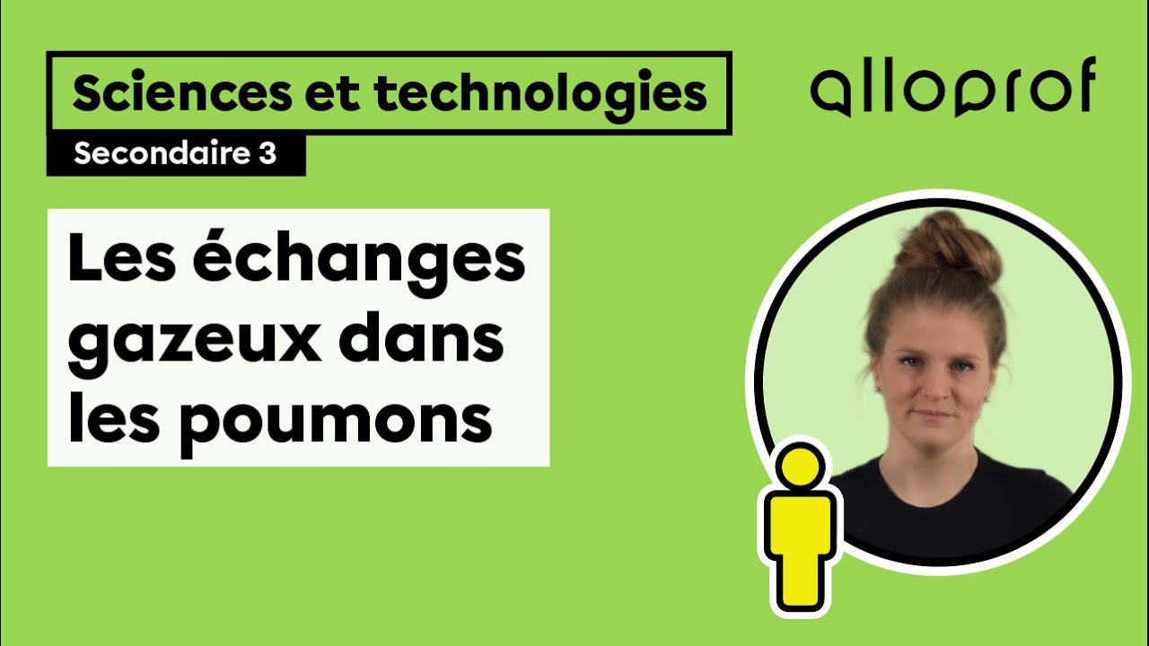 Les échanges gazeux dans les poumons