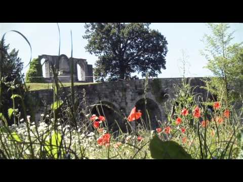 Château comtal de Rochefort - Val de Lesse