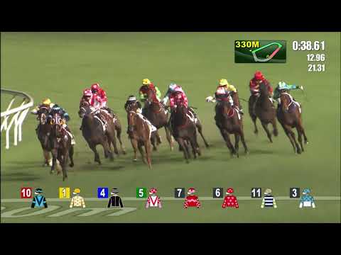 8/9/2021 (15) Jazz Steed - J Moreira