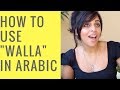 Arabic Beginner Lesson #38- WALLA!
