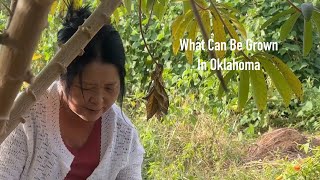What Can Be Grown In Oklahoma