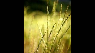 My Heavenly Father Loves Me