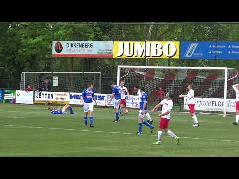 s.v. de Valleivogels - VVOP (samenvatting)