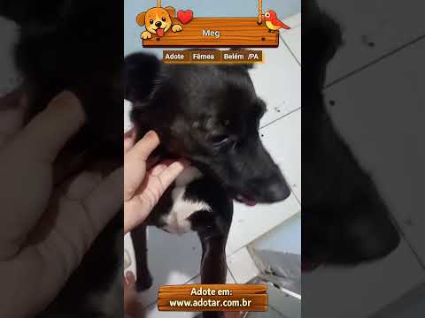 Vídeo de Meg