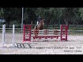 Gamko S x Quinar