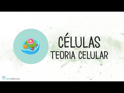 A célula - Teoria Celular - Biologia e Geologia 10ºano
