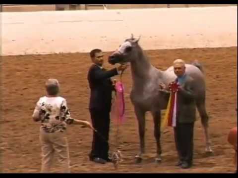 2012 Regioin 3 Stallion Championship, Reno