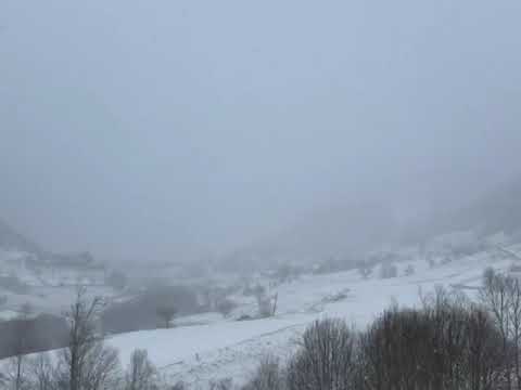 RIKTHEHEN RESHJET E DËBORËS NË QARKUN SHKODËR