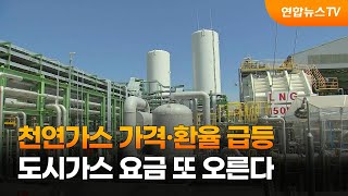 천연가스 가격·환율 급등…도시가스 요금 또 오른다 / 연합뉴스TV (YonhapnewsTV)