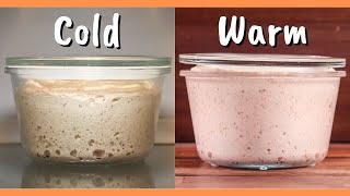 Which is the Best Slow Fermentation Method? Cold vs Room Temperature Compared