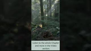 Peace For the Troubled Heart Chapter 6 Short