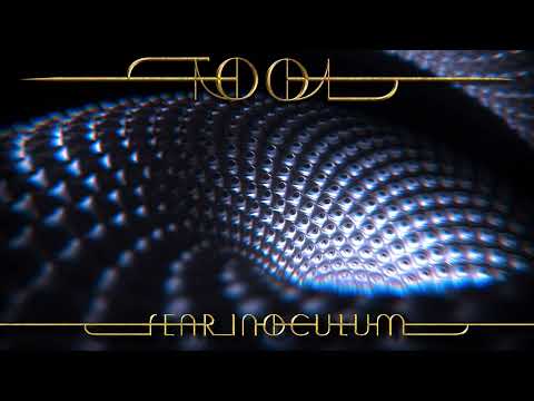 Tool - Invincible - Isolated Guitar Track (Original)