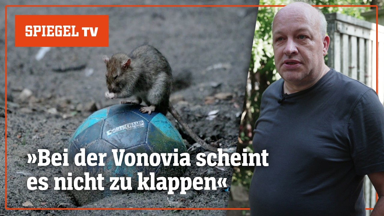 Tauben, Ratten, Risse: »Schlimmer Wohnen« bei Vonovia | SPIEGEL TV