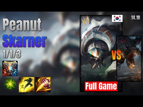Peanut Jungle Skarner vs Fiddlesticks lol KR solo rank Full Game 14.18