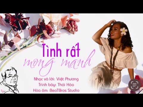 Tình rất mong manh - Thái Hòa