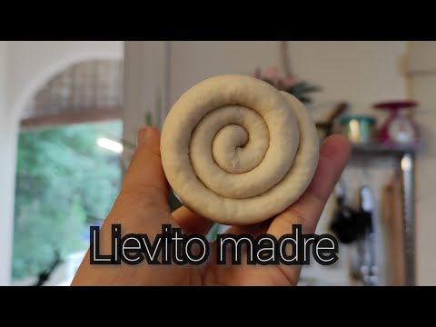 Sourdough starter to lievito madre|Panettone part1|Starter