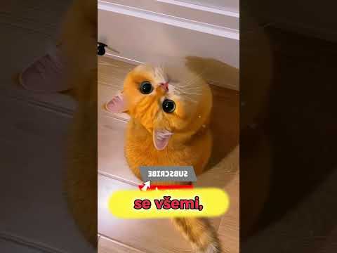 Nikdy neignoruj tuhle značku… může ti zachránit život! 😨
