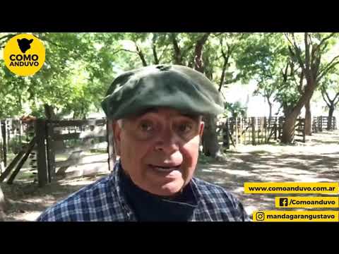 14-01-21 -  Ricardo Arzoz - Martillero - Remate de Hugo R. Aristegui y Cía. S.R.L. - Cacharí, Bs.As.