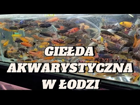 START Aquarium Fair in Łódź