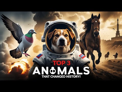 Top 3 Animals That Changed History