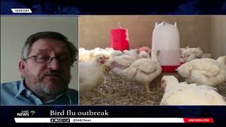 Avian flu outbreak in SA - Prof Robert Bragg