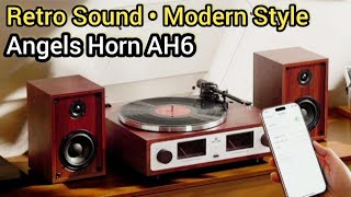 Angels Horn AH6 Plattenspieler mit VU-Meter, Bluetooth & Wissenswertes über Plattenspieler & Justage